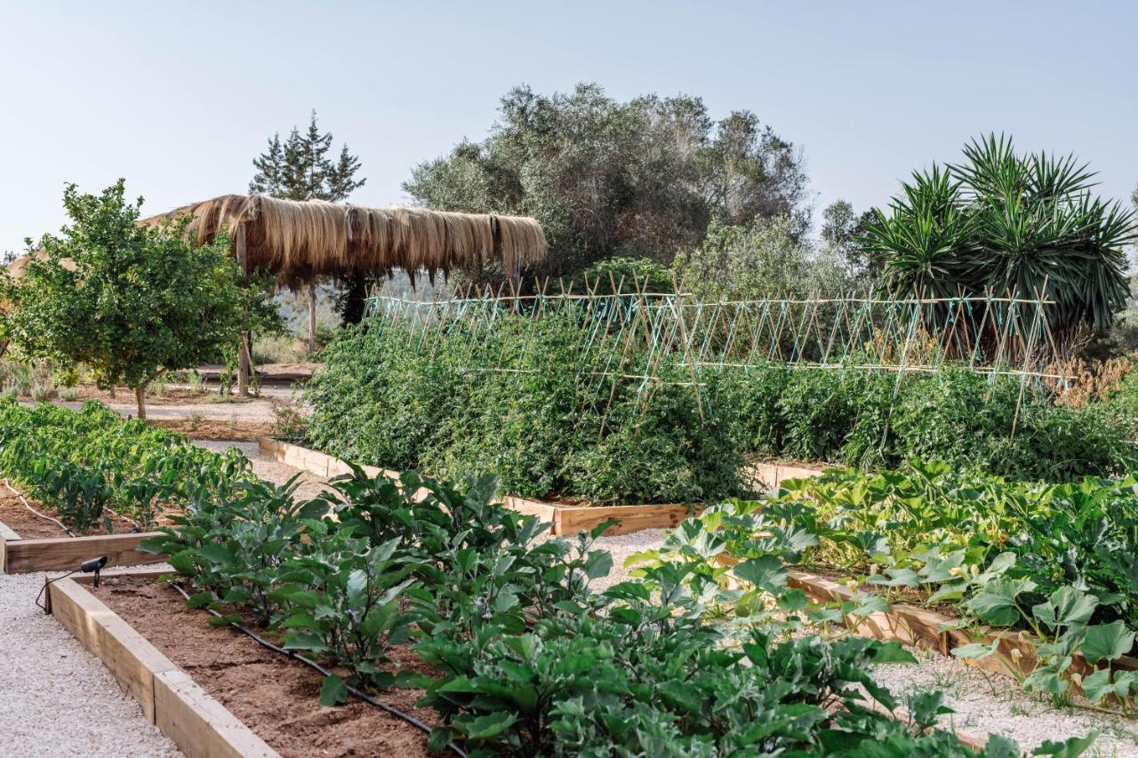 Agroturismo Can Domo Santa Eularia des Riu Zewnętrze zdjęcie